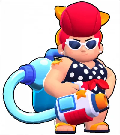 Combien coûte ce skin ?