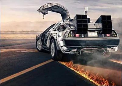 Dans la saga "Retour vers le futur" qui n'a pas piloté la Delorean ?