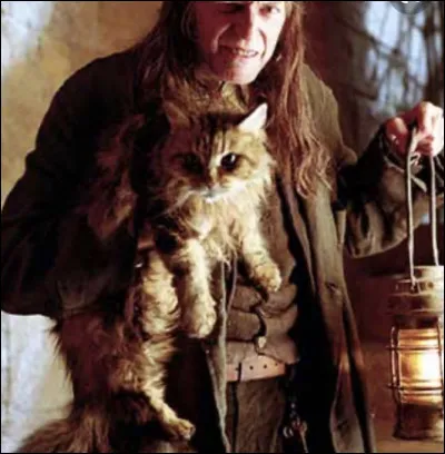 Quel est le nom de la chatte de Rusard ?