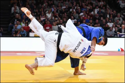 Quelle couleur de ceinture n'appartient pas au judo ?