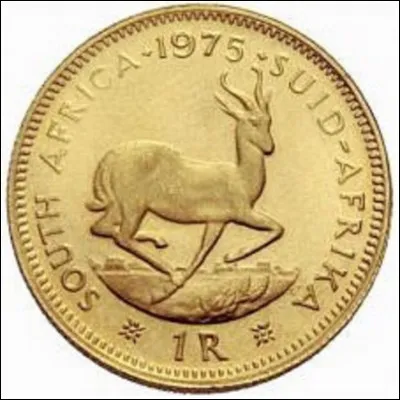 Quelle est l'unité monétaire de L'Afrique du Sud ?