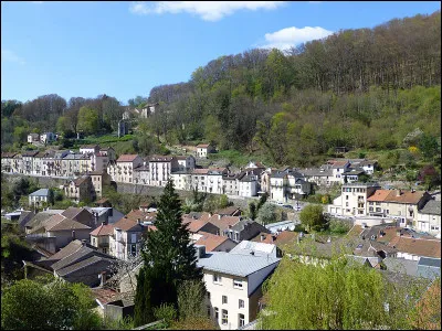 Le polastre est un réchaud. Celui-ci sert...
