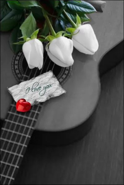 Dans quelle chanson de Cabrel entend-on "Quelque chose vient de tomber sur les lames de ton plancher" ?