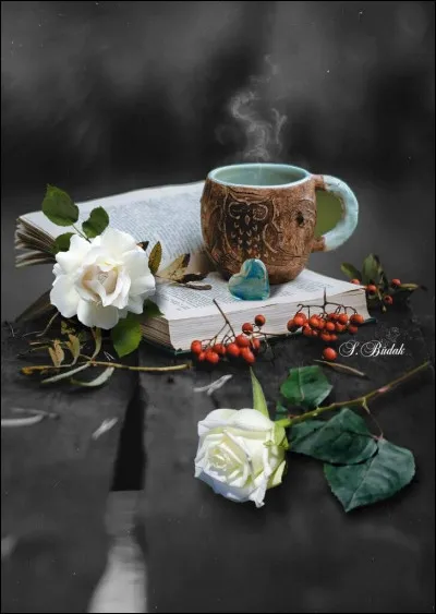 Qui a écrit "La Chute" ?