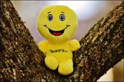 J'ai entendu un jour un bon mot de Raymond Devos, qui n'est pas tombé dans l'oreille d'un sourd ! Complétez-le ... "Il m'est arrivé de prêter l'oreille à un sourd...."