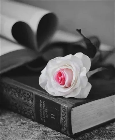 Dans son livre "Tomber 7 fois, se relever 8", que décrit Philippe Labro ?