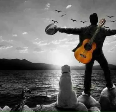 Dans le domaine de la chanson, en 2020, on tombe toujours ! Qui chante "Je suis tombé, tombé, tombé" ?