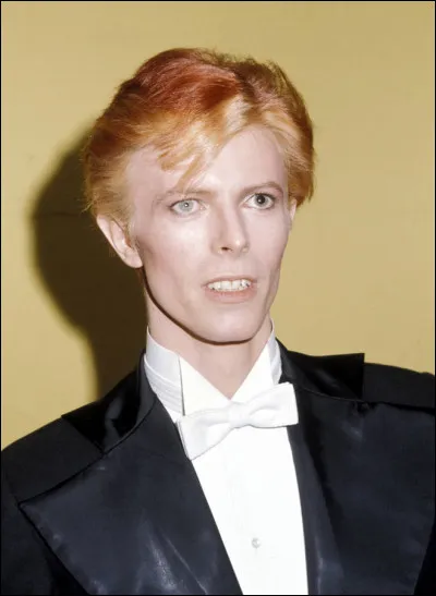 Qui a fait les premières parties de David Bowie ?