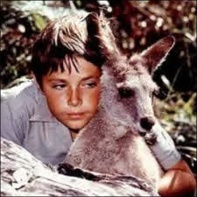 Quel est le pays d'origine de la série "Skippy le kangourou" ?