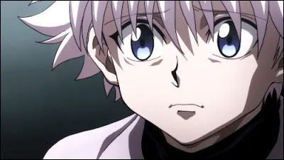 Quel est le pouvoir de l'aîné des Zoldick ?