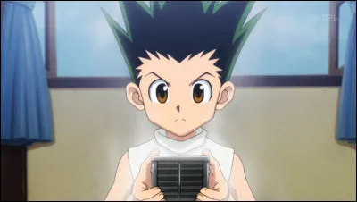 Qu'ont découvert Gon et Kirua dans la boîte que Ging avait laissée pour son fils ?