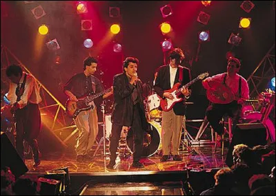 Quel est ce groupe musical qui a repris la chanson ''Douce France'' de Charles Trenet ?