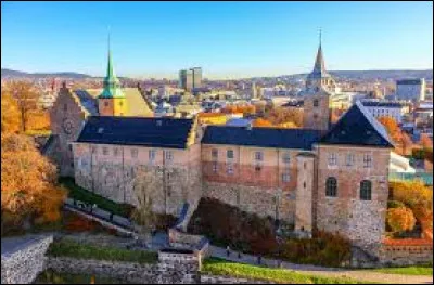 Vous allez voir la citadelle d'Akershus et faites des achats à Glassmagasinet. Dans quel pays êtes-vous ?