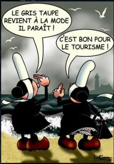 Br...comme Bretagne : goûtons à l'une de ses spécialités ! qu'est-ce que la cotriade ?