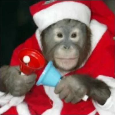 Ce Père Noël peut faire des singeries !