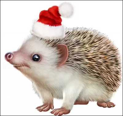 Cette année, comme cadeaux de Noël, il a eu une limace et un ver de terre !