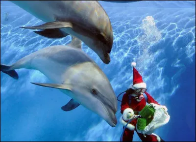 Qui accompagne le Père Noël sous-marin ?