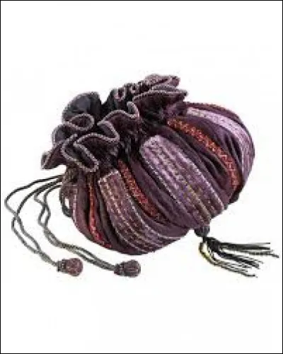 Dans "Harry Potter et les Reliques de la mort", Hermione possède un sac à main un peu spécial, quelle est sa particularité ?