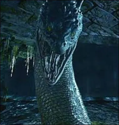 Le Basilic est un serpent dont le regard tue immédiatement toute personne qui le regarde. Pourquoi Hermione n'est-elle pas morte, mais juste pétrifiée ?