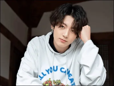 Quel est le surnom de Jungkook ?