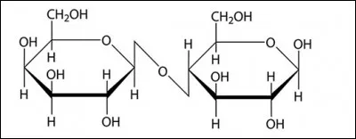 Quel est le principal glucide du lait ?