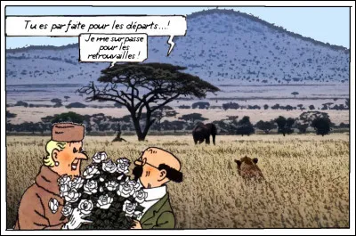 Tournesol et la Castafiore incarnent un couple qui nous ferait (presque) oublier le duo Streep-Redford...