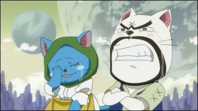 Qui est en réalité le couple de chats où Happy et Carla trouvent refuge ?