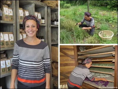 Comment appelle-t-on un agriculteur qui ne cultive que les plantes médicinales ou aromatiques ?