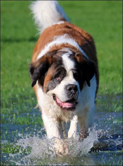 Trop fastoche ! Allez, vous aurez au moins 1 sur 10 !
