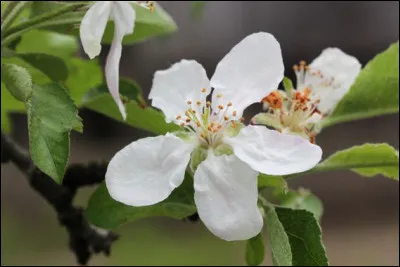 Quelle est ta personnalité ?