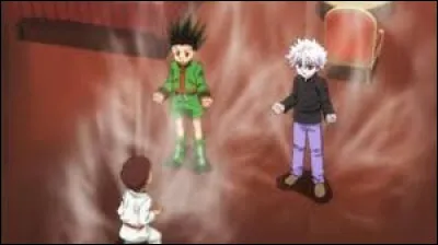 Combien y a-t-il de catégories de Nen ?