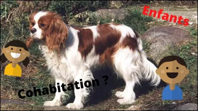 Ce chien, est-il idéal pour cohabiter avec des enfants ?