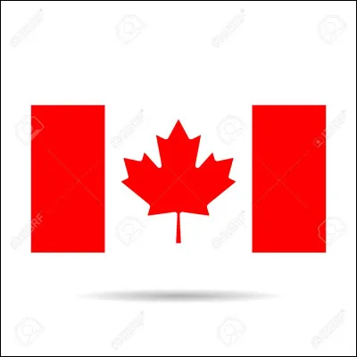 Je _______ canadienne.