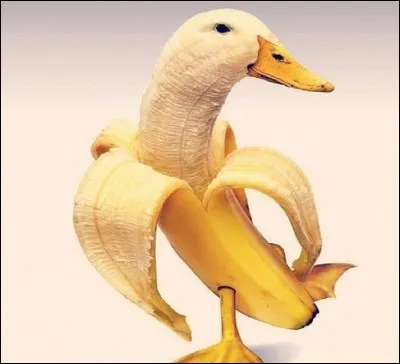 Que ne casse-t-on pas à un canard, selon l'expression qui signifie que ce n'est pas extraordinaire, que c'est banal ?