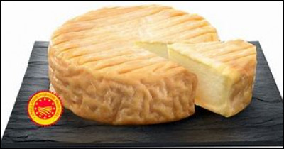 Quel est ce fromage de Bourgogne au lait de vache à pâte molle et à croûte lavée ?