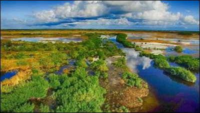 Quelle est cette zone humide subtropicale du sud de la Floride, une écorégion protégée et parc national ?