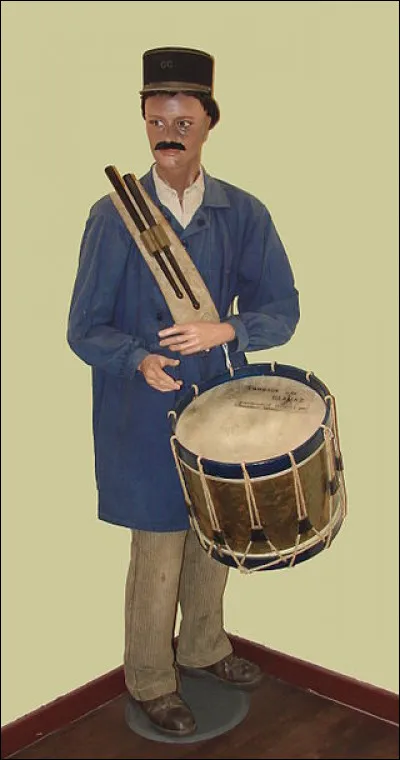 Le grillon d'Europe occidentale, pourvu d'ailes, mais qui vit exclusivement au sol est dit...