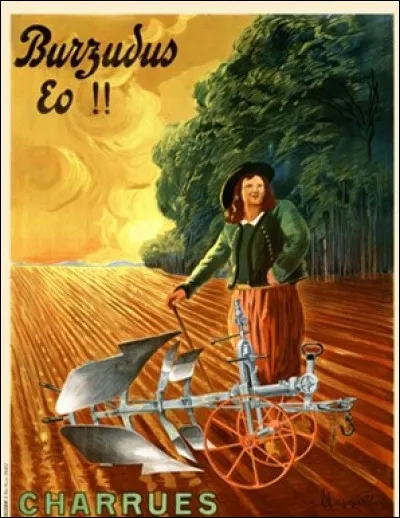 Appelé richepaume en Acadie, ce canard est un plongeon...