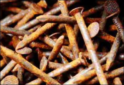 Et le quiscale, le passereau visible surtout au Québec, comment est-il ?