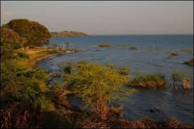 Quel pays n'est pas bordé par le lac Victoria ?