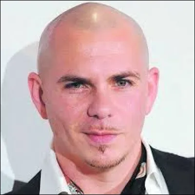 Quel chanteur a pour vrai nom Armando Christian Pérez ?