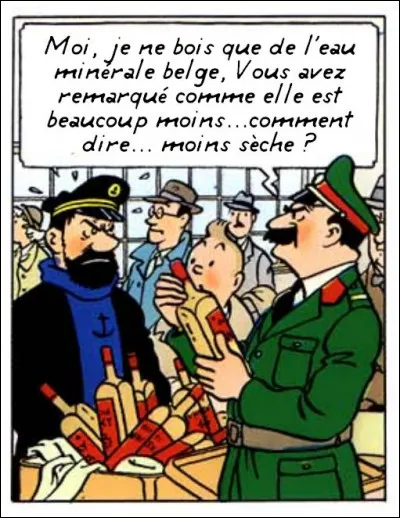 Encore une fois Haddock, avec sa tête de coupable...