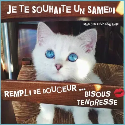 Comment dit-on "samedi" ?