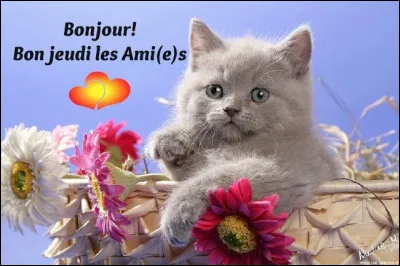 Comment dit-on "jeudi' ?