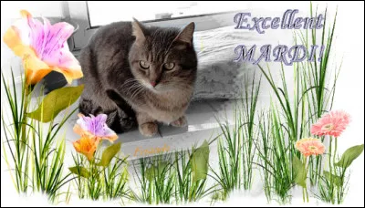 Comment dit-on "mardi" ?