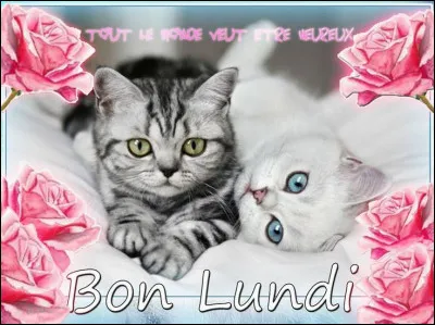 Comment dit-on "lundi" ?