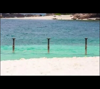 Qui était sur les poteaux ?