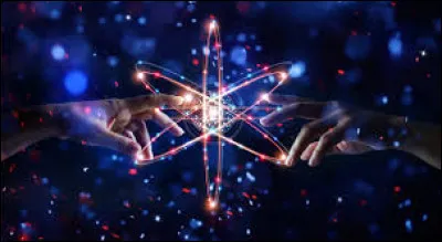 L'ornithologie étudie :