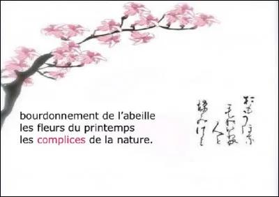 Quel est le nom d'un petit poème japonais extrêmement court ?