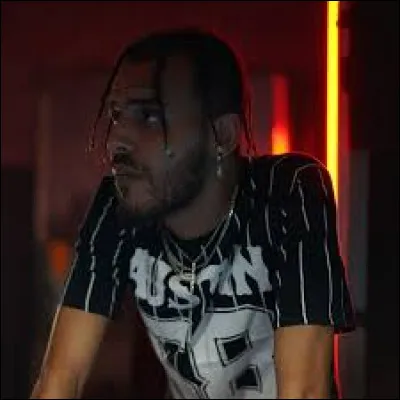 Quel est le nom de cet artiste ?